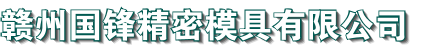 赣州国锋精密模具有限公司